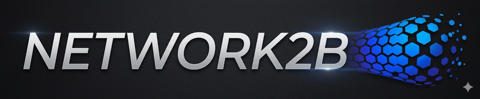 NETWORK2B Logo